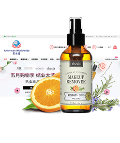 Voorbeeld van professioneel Chinees webdesign met Vereenvoudigd Chinees