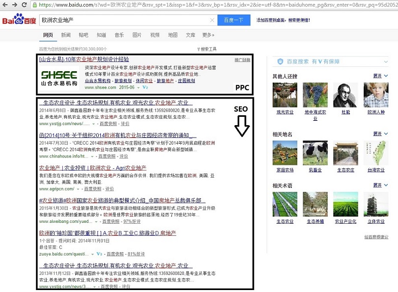 Baidu SEO result. Baidu PPC example.