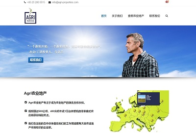 China Web Design example.